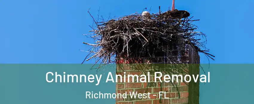  Chimney Animal Removal Richmond West - FL