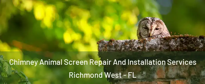  Chimney Animal Screen Repair And Installation Services Richmond West - FL