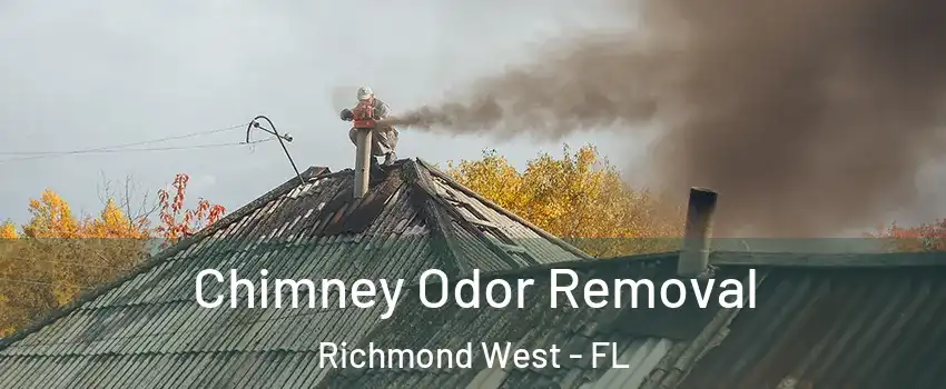  Chimney Odor Removal Richmond West - FL