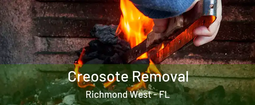  Creosote Removal Richmond West - FL