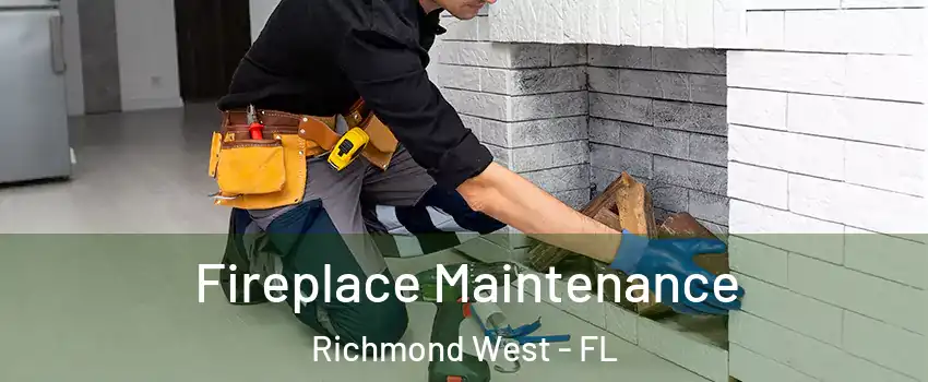  Fireplace Maintenance Richmond West - FL