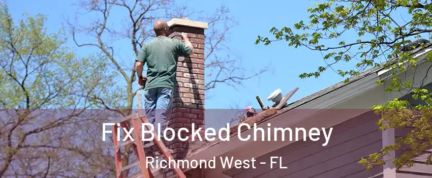  Fix Blocked Chimney Richmond West - FL