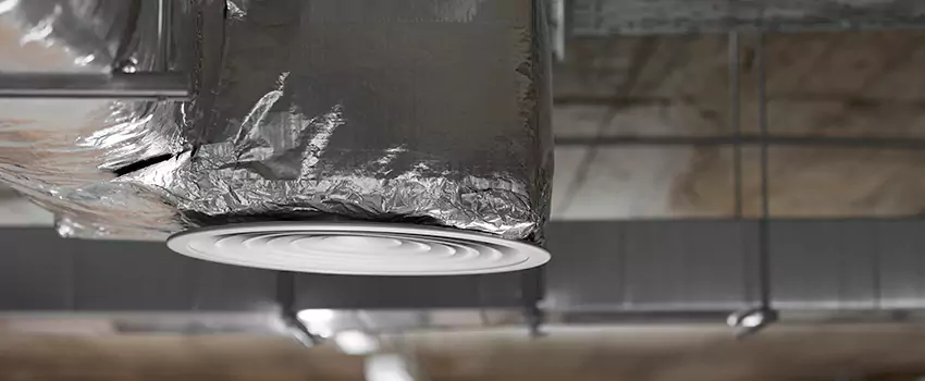 Signs of Dust Accumulation in Vents in Richmond West, FL