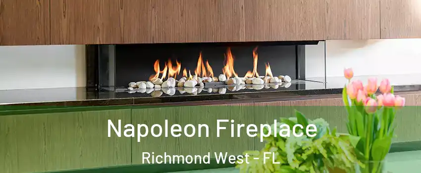  Napoleon Fireplace Richmond West - FL